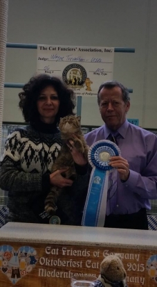 TD' Everlasting Love of Arcobaleno
5th best all breed kitten in Niedernhausen CFA show 23-24/10/2015